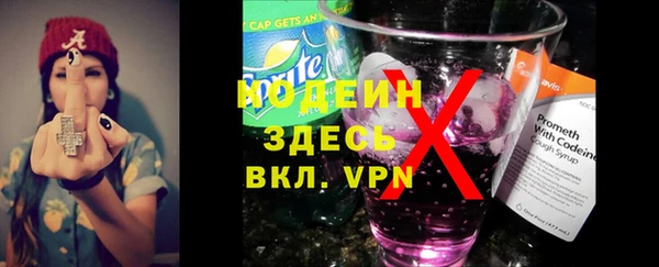 хмурый Каменка