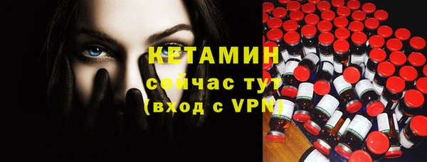хмурый Каменка