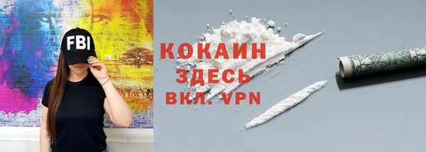 хмурый Каменка