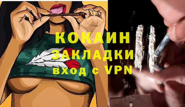 хмурый Каменка