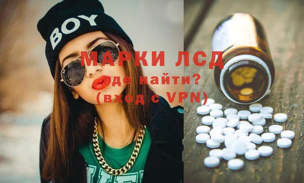 хмурый Каменка