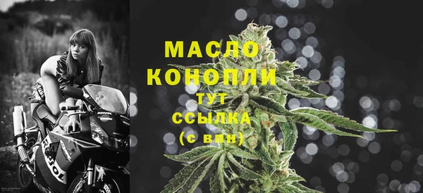 хмурый Каменка