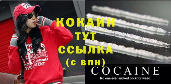 хмурый Каменка