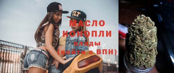 хмурый Каменка