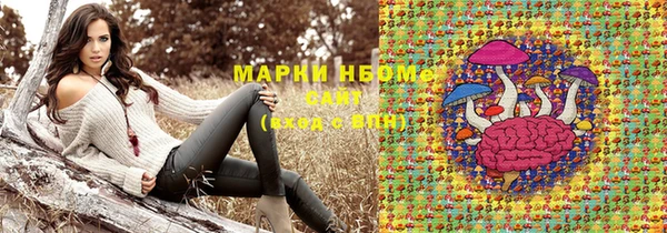 хмурый Каменка