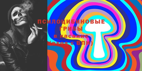 мет Каменногорск