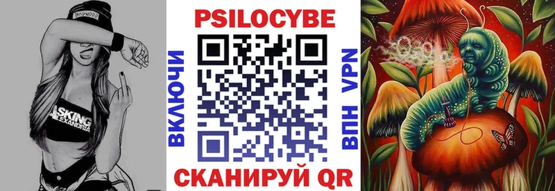 Галлюциногенные грибы Psilocybe  Купить  Чаплыгин 